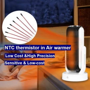 NTC temp sensor in air warmer air heater