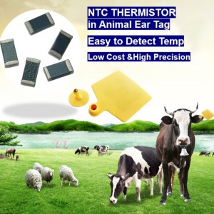 NTC thermistor temperature sensor in animal ear tag Intelligent breeding